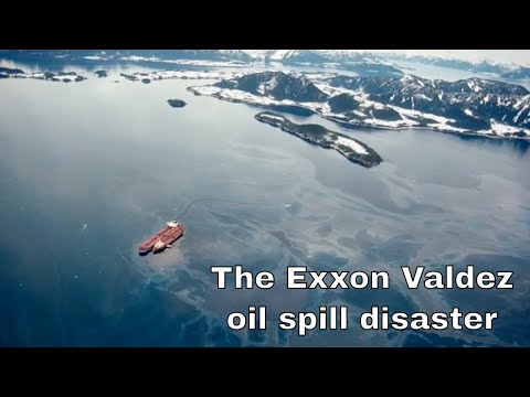 Бейне: Exxon Valdez мұнай төгілуімен не болды?