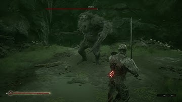 Mortal Shell - Grisha / Parry 100% (No damage)