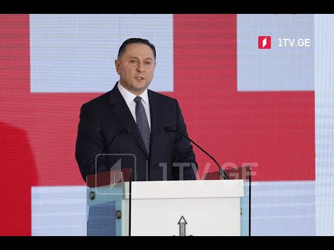 შს მინისტრის ანგარიში