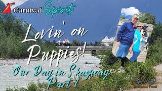 Puppy Love! 🐾 | Carnival Spirit 2023