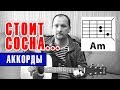 СТОИТ СОСНА - АРМЕЙСКАЯ (АККОРДЫ ДЛЯ ГИТАРЫ) как играть (РАЗБОР) простая песня на гитаре