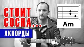 СТОИТ СОСНА - АРМЕЙСКАЯ (АККОРДЫ ДЛЯ ГИТАРЫ) как играть (РАЗБОР) простая песня на гитаре