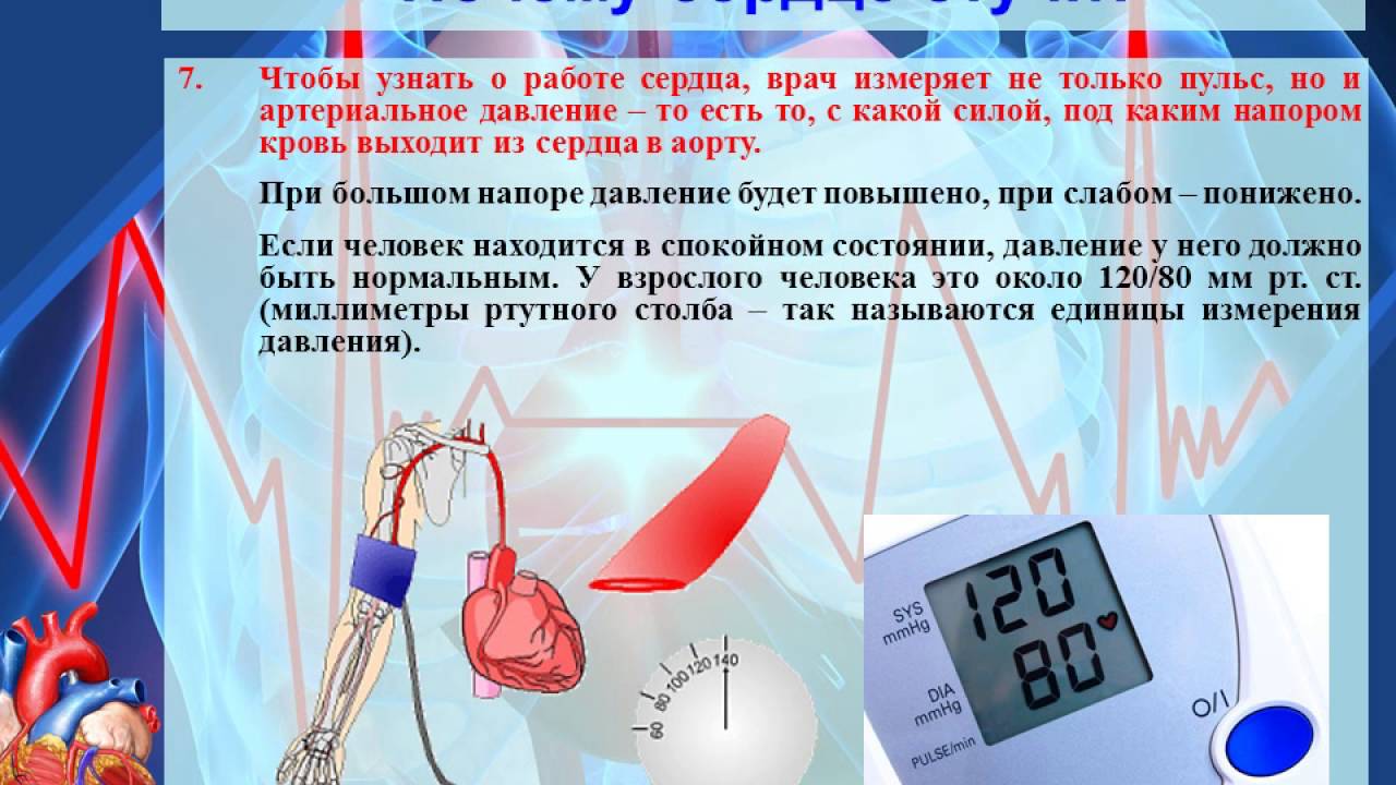 Почему сердце начинает биться сильнее. Почему сердце стучит. Почему сердце бьётся. Почему сердце стучится. Почему колотится сердце.