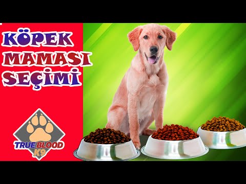 Video: Veterinere Sorun: İyi Bir Köpek Maması Nasıl Seçerim?