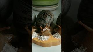 Chocolate Pumpkin With Salt🧂🎃🫓#Snails #Food #Yummy