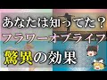 【ゆっくり解説】まだみんな知らない！フラワーオブライフの驚異の力