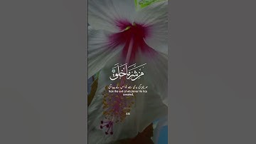 سورة الفلق ❤️🤍#explore #اكسبلور #قرآن #مصر #السعودية #اكسبلور_فولو #قران #اكسبلور_explore #الجزائر