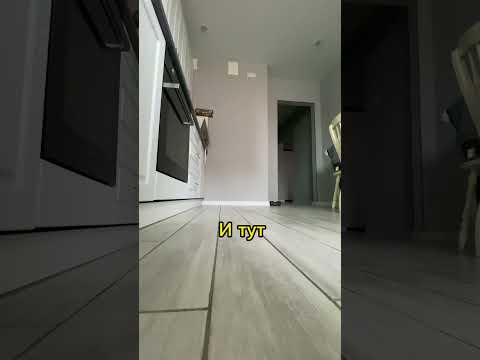 НЕ ЗАВОДИТЕ БИГЛЯ ПОКА НЕ ПОСМОТРИТЕ ЭТО ВИДЕО! #бигль #смешныеживотные