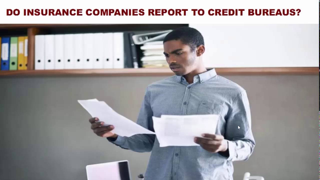 Do Insurance Companies Report To Credit Bureaus YouTube
