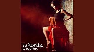 Señorita (Instrumental Ringtone Version)