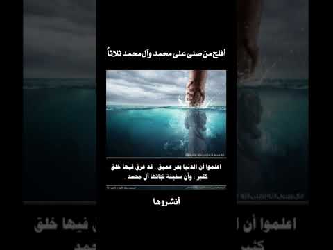 سفينة النجاة
