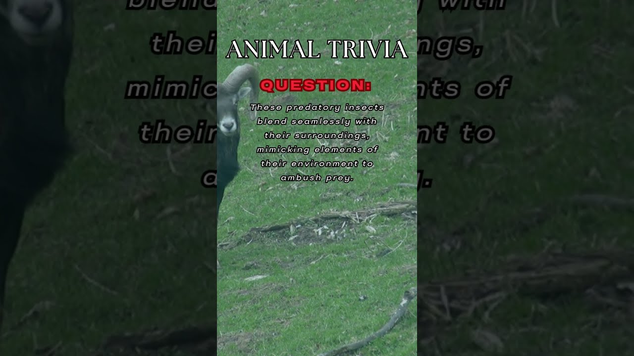 Surprising Animal Trivia You Didn't Know