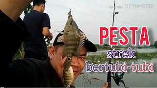 Mancing sore hari-Streknya bertubi-tubi screenshot 3