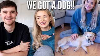 WE GOT A DOG!!! | sophdoesvlogs