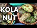 Kola nut  the stimulating fruit once used in coca cola  weird fruit explorer ep 379