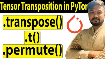 Tensor Transposition in PyTorch - .transpose(), .t(), .permute() Methods Explained | Ali Hassan
