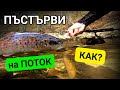 КАК ДА ловим Балканска ПЪСТЪРВА на планински поток | HOWTO  Trout Fishing at small mountain creek