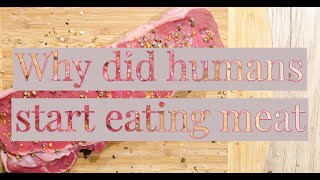 Why did humans start eating meat