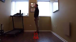 Balance exercise: step over