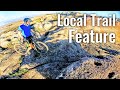 Mtb trail feature by local west coast mountain biker tiaan steenkamp