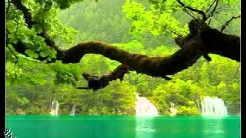 ابو مصعب سورة ق