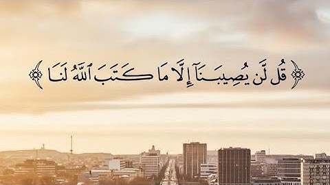 الشيخ سيد سعيد تلاوات خاشعه جدا. من سوره المائده