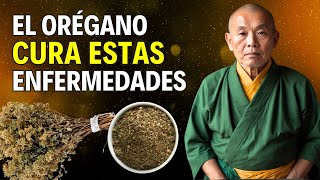 ¿QUÉ ENFERMEDADES TRATA EL ORÉGANO? | Historia y Espiritualidad Zen