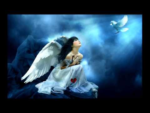 سجن النسا تامر كروان