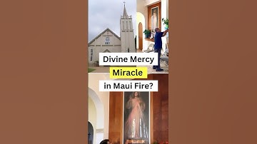 Divine Mercy miracle in Maui fire? Learn the promises of the Divine Mercy Image. #divinemercy