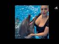 Incredible Human Kindness Toward Animals 🐾 | Heartwarming Rescue Moments Compilation part 2