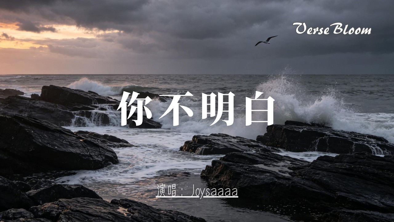 Joysaaa - 你不明白『 你不明白,我说不爱都更加爱,你不明白,你在我心里不出来,那快乐无可取代,可关系无限重来,藕断丝连相互折磨伤害 ...