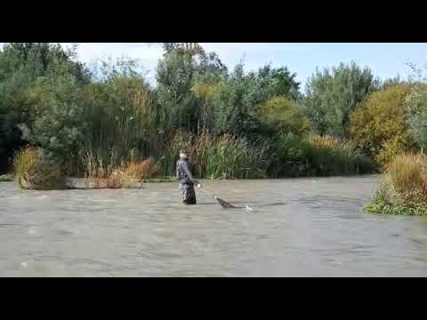 Fly Fishing At Huckleberry Lodge Youtube