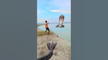 la la kala kala snake aya hamko dharne aya Hara Hara Shambhu