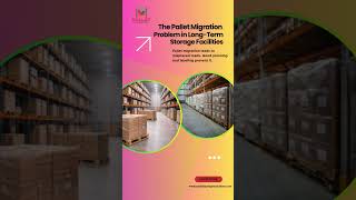 Pallet Migration in Warehouse Storage: How Better Racking Prevents Lost Inventory #palletstorage