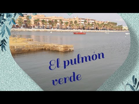 Puerto Real, el pulmón verde de cadiz