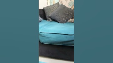 Omg guys I did my first loop video 🔥