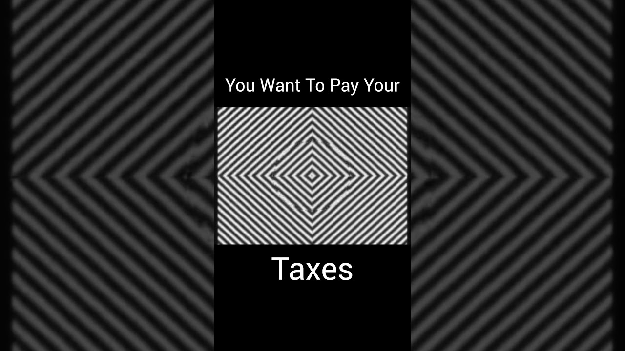 You Want To Pay Your Taxes meme comedy YouTube You Want To Pay Your Taxes meme comedy YouTube