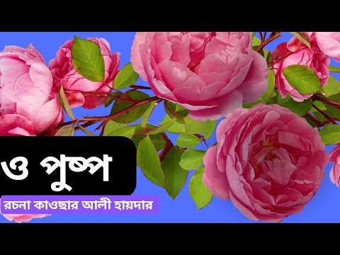 o puspo ।ও পুষ্প।by kawsar Ali Haider - YouTube