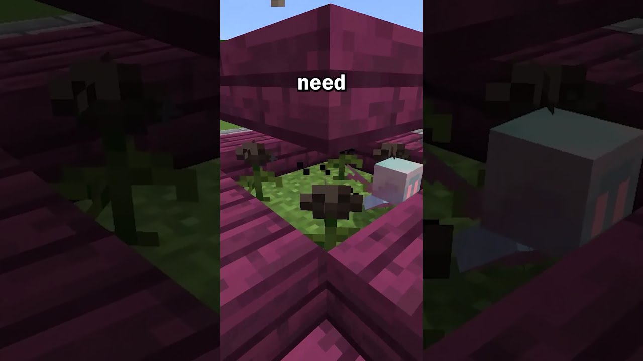 How To Make The BEST XP Farm In Minecraft 1 21 