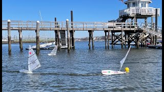 RC Lasers Sailing At RYC on Jan 30 2022