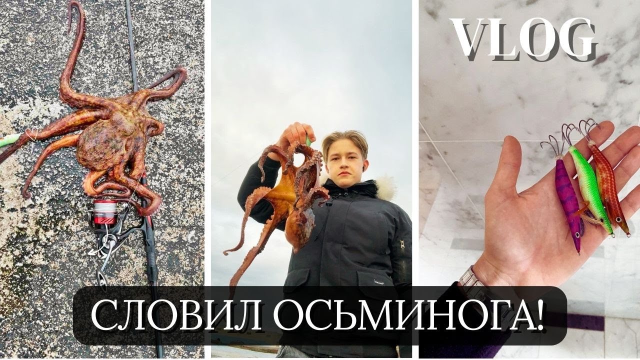 🎣 Осьминог в море: как и где ловить | Реальный опыт