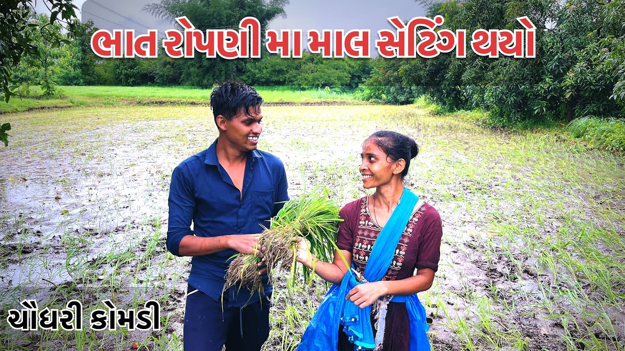 ભાત રોપણી મા માલ સેટીંગ થયો | Brijesh Official Tapi New Chaudhari Comedy Video | Adivashi Video