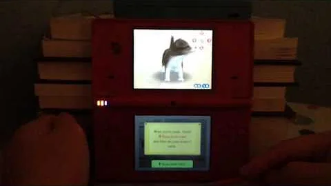 Nintendogs-Naming First Puppy