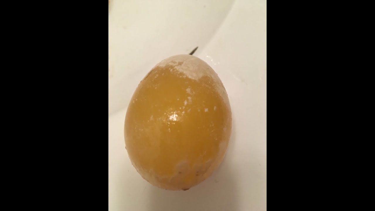 Apple cider vinegar egg YouTube