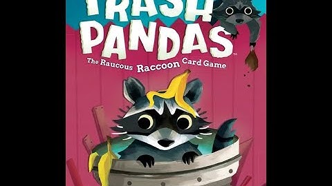 Unboxing Trash Pandas