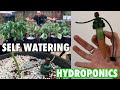 Self Watering, Moisture Sensing, Gravity Fed Hydroponic System