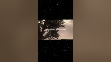 سورة الجاثية|1-5|القارئ:#محمد_اللحيدان #قران #quran #راحة_نفسية #قران_كريم  #تلاوة_هادئة#تلاوة_خاشعة