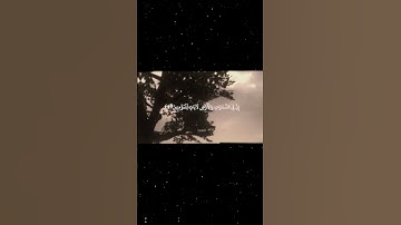 سورة الجاثية|1-5|القارئ:#محمد_اللحيدان #قران #quran #راحة_نفسية #قران_كريم  #تلاوة_هادئة#تلاوة_خاشعة