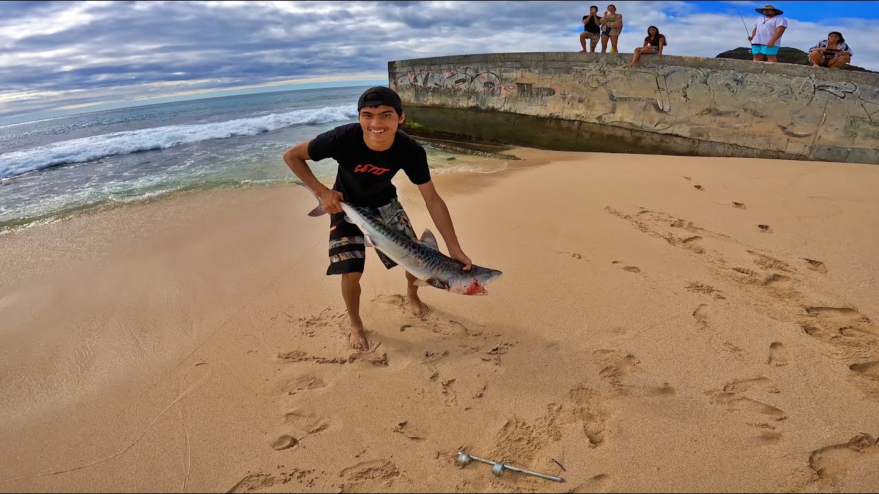 Sharks Only Bite If You... / Fish And Dive Hawaii Lifestyle Vlog