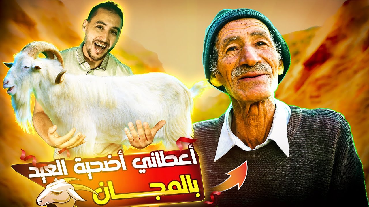 إلتقيت راعي أغنام قمة في الكرم عمره يفوق 70 سنة | أعطاني أضحية العيد مجانا 😀